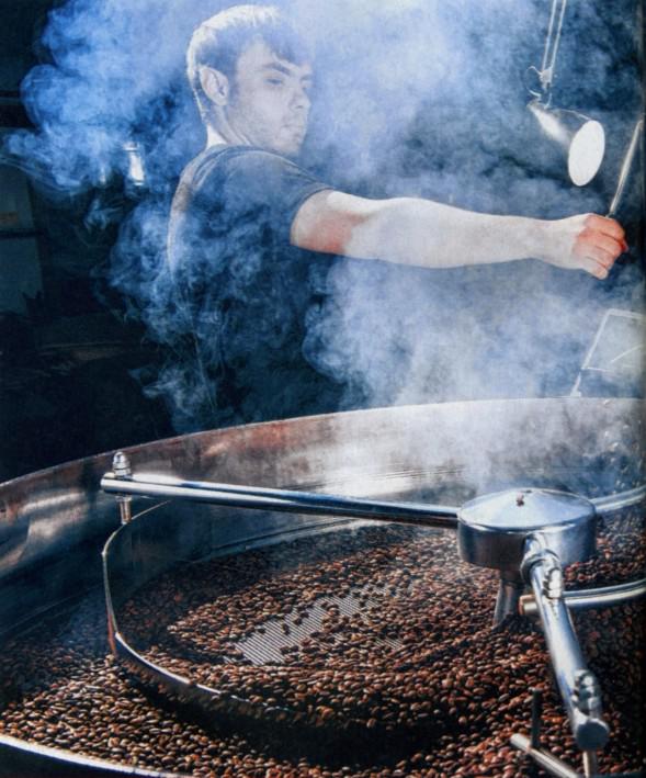 recolte du café