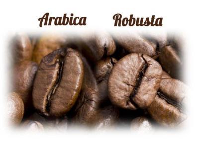 recolte du café
